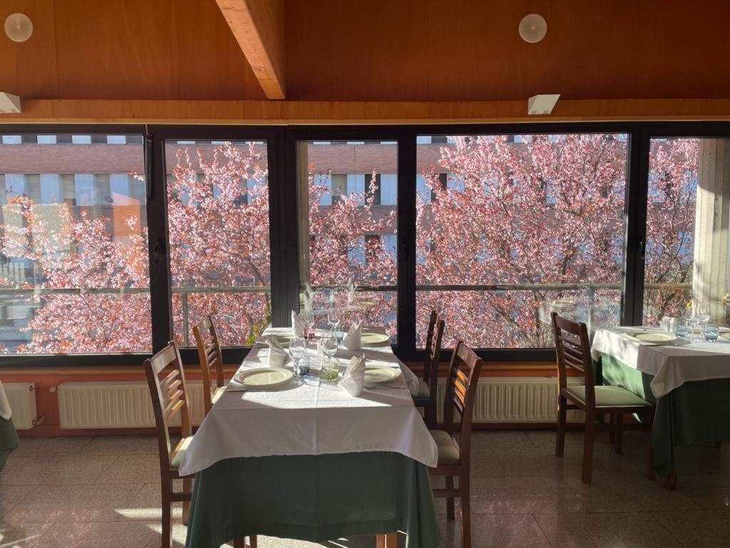 Olvega Hostal Los Infantes מראה חיצוני תמונה